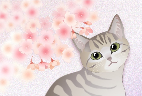 may's shop縁側