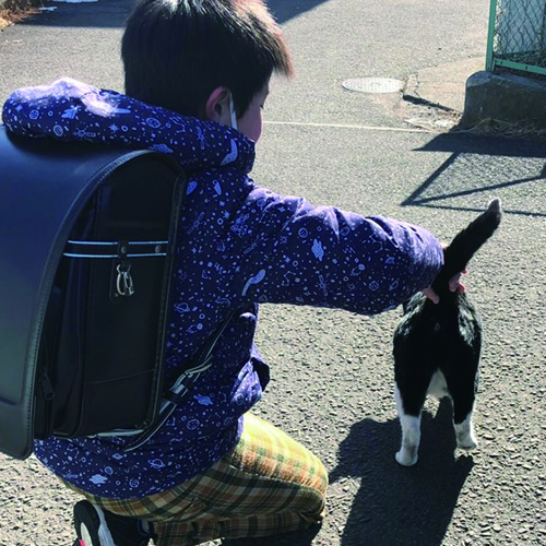 越路ねこ部写真展11