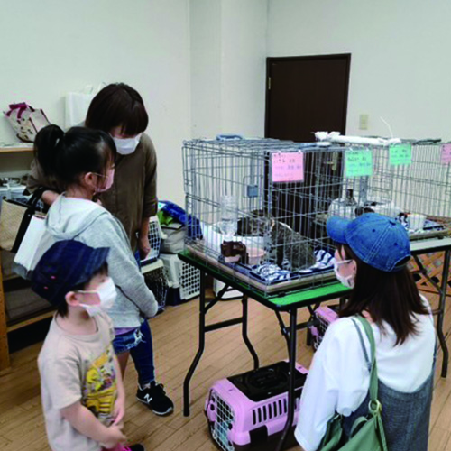 越路ねこ部写真展12