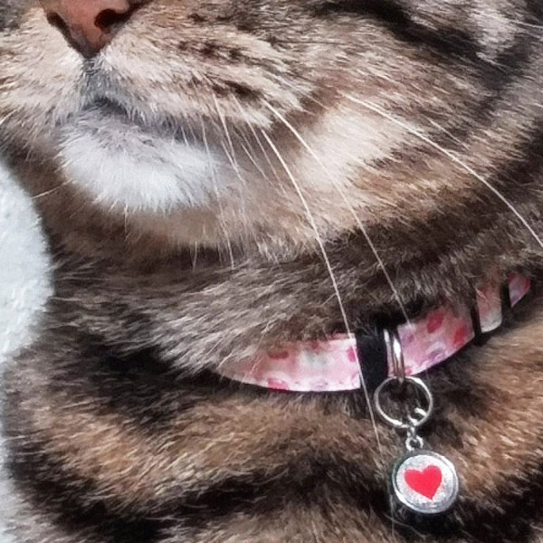 ねこのくびわ　コトフク作品2