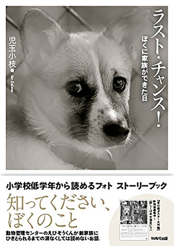 児玉小枝「ラスト・チャンス！」