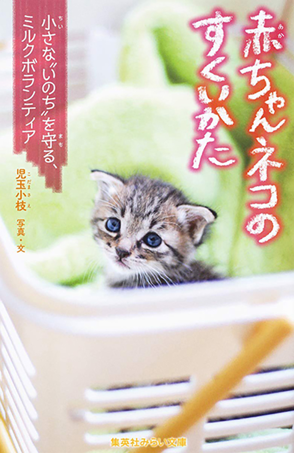 児玉小枝「赤ちゃんネコのすくいかた」
