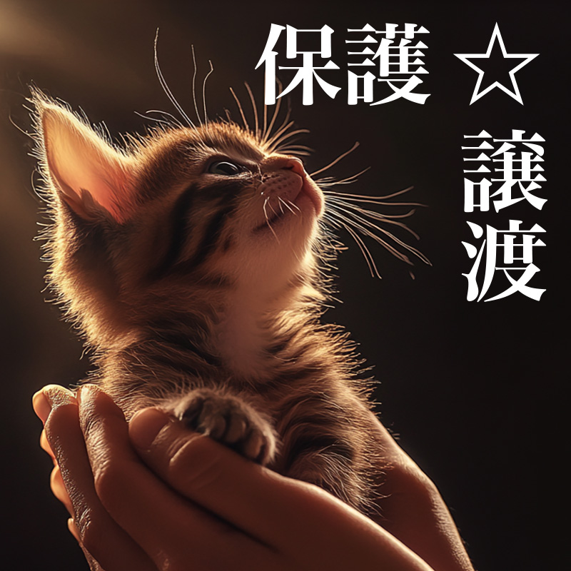 保護譲渡
