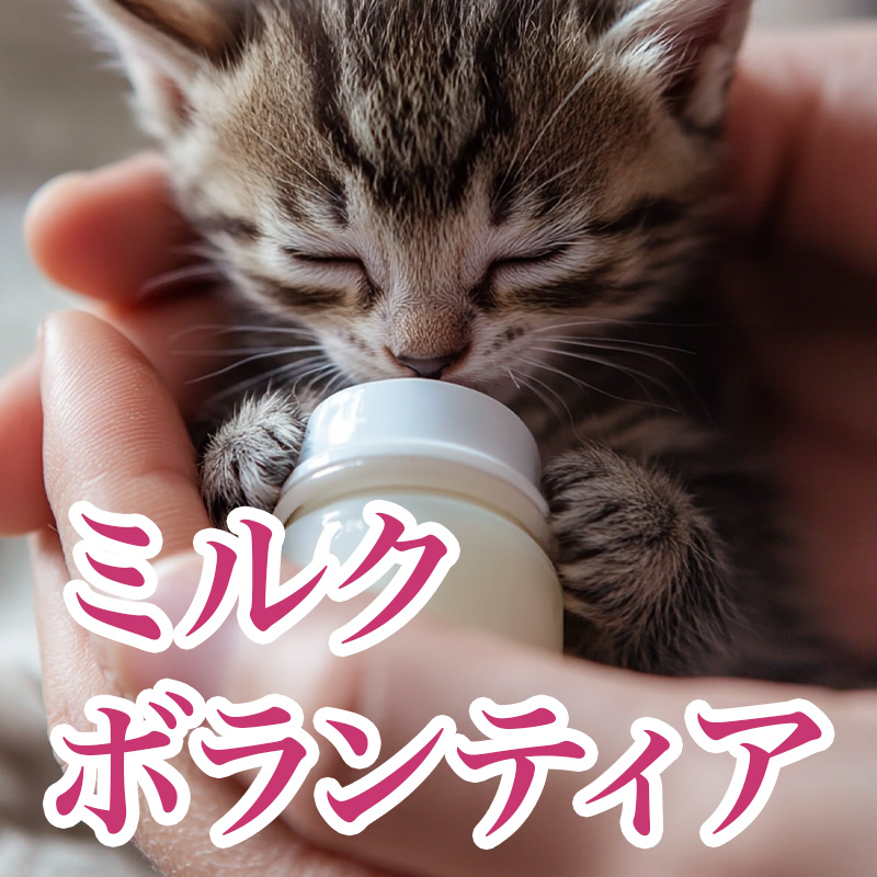 TNR+M