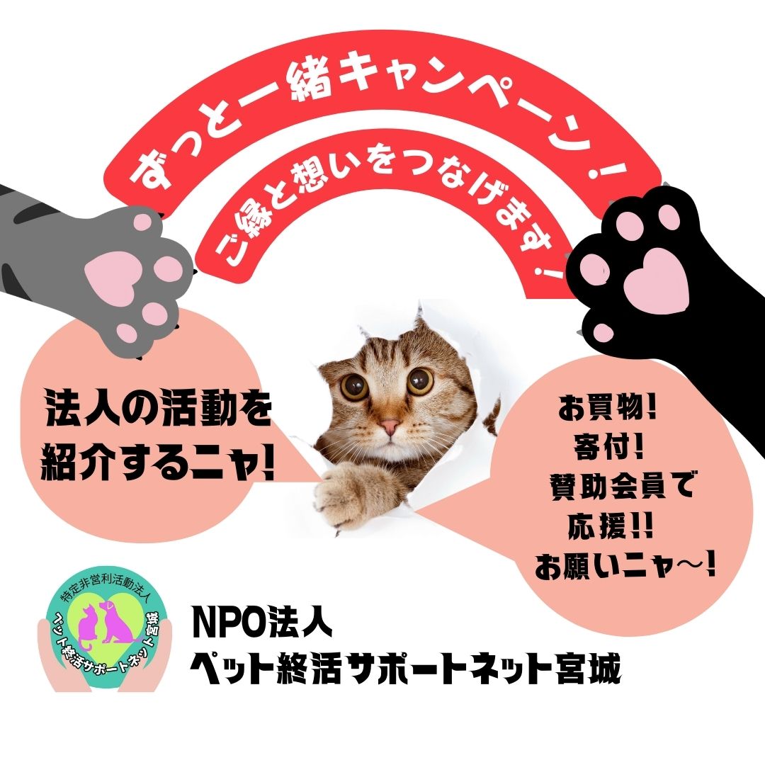 NPO法人ペット終活サポートネット宮城作品6