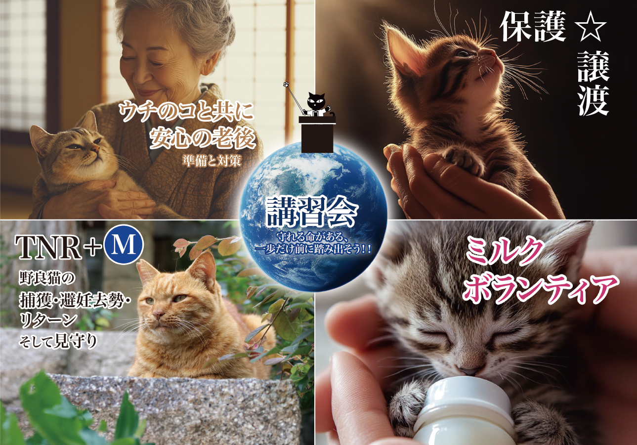 4つの講習会