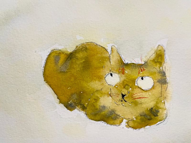 にゃんこ組「松倉」