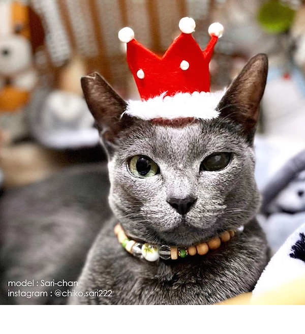 ユカイナミライ舎作品1